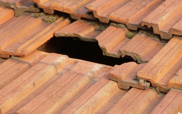 roof repair Little Silver, Devon